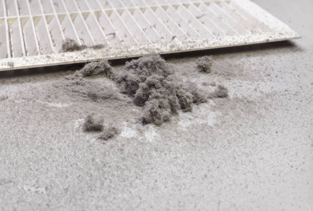 Best Ventilation Cleaning Services  in Sands Point, NY