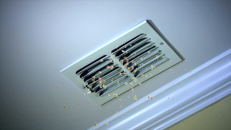 Best Best Air Duct Cleaning Company  in Sands Point, NY