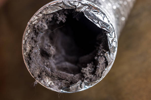 Best Affordable Duct Cleaning Services  in Sands Point, NY